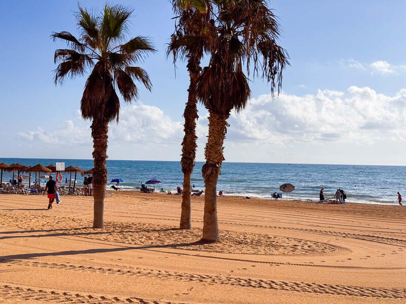 1 soverom Leilighet til salgs