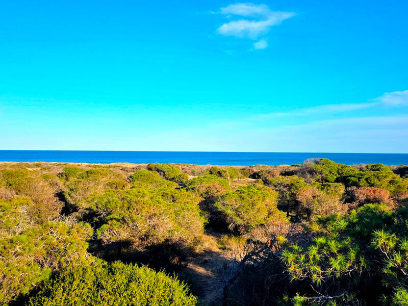 1 chambre Appartement à vendre