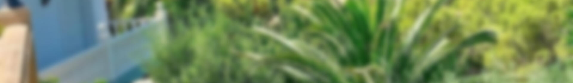 3 soverom Villa til salgs