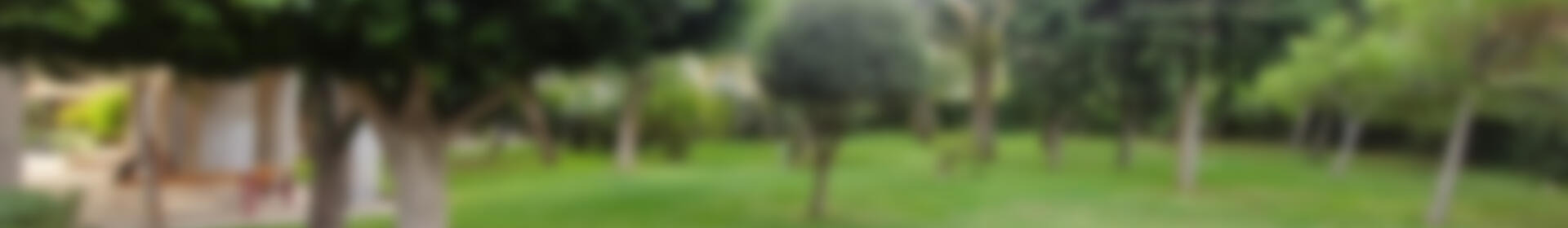 4 soverom Leilighet til salgs