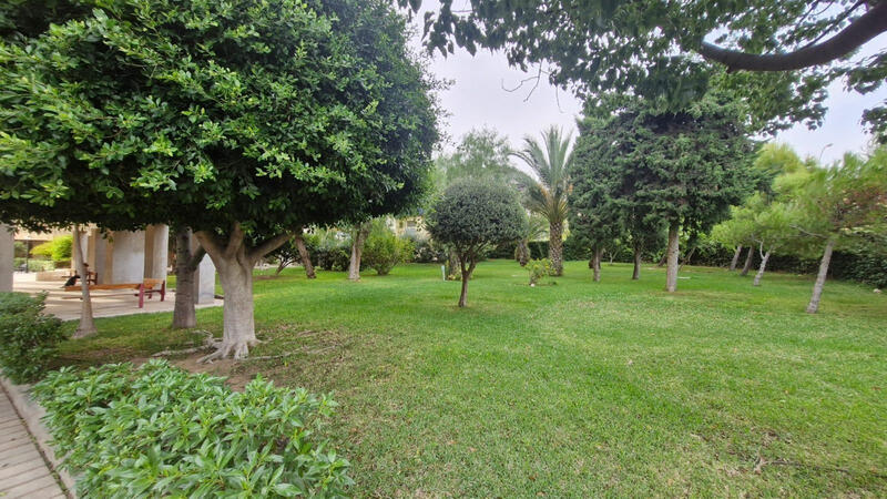 Appartement à vendre dans Alacant/Alicante, Alicante