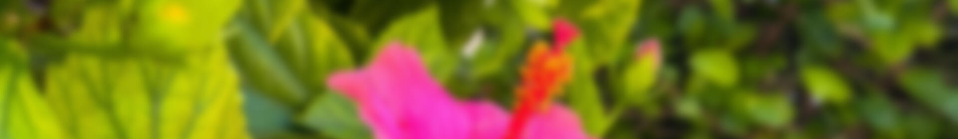 1 спальная комната квартира продается