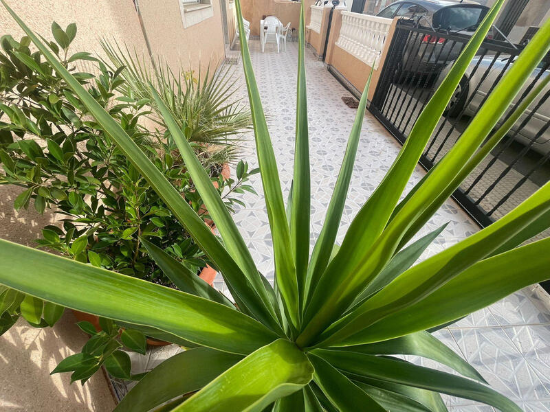 4 chambre Villa à vendre