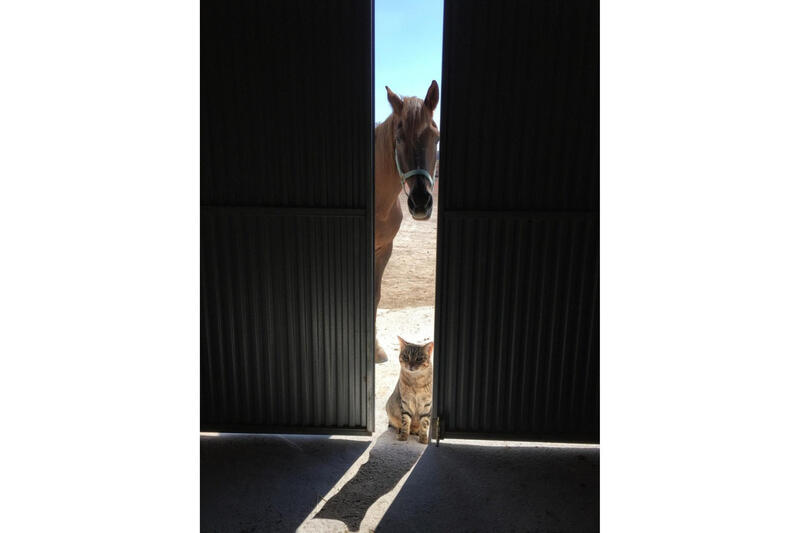 3 Schlafzimmer Landhaus zu verkaufen