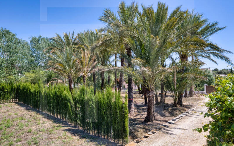 3 soveværelse Landsted til salg