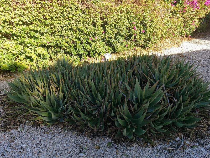 3 soverom Herregård til salgs