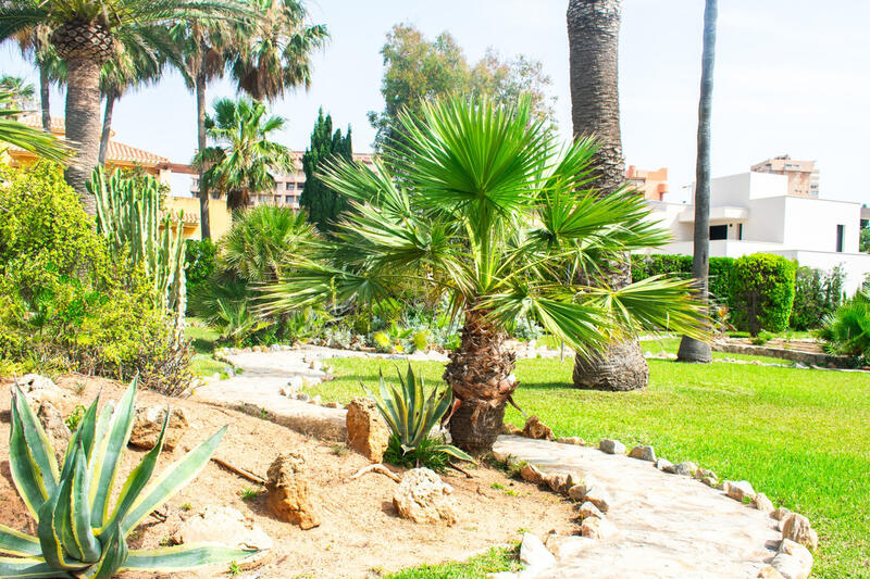 3 chambre Villa à vendre