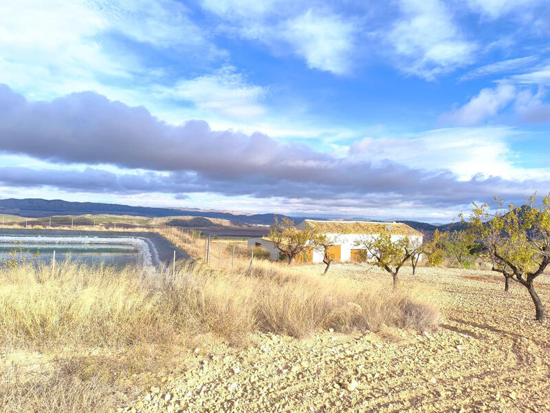 5 bedroom Country House for sale