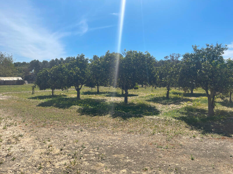 3 soveværelse Villa til salg