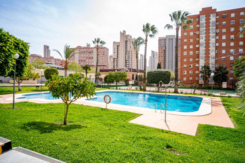 Apartamento en venta en Benidorm, Alicante