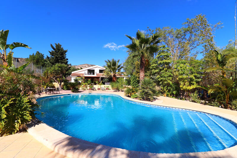 Villa for sale in Aspe, Alicante