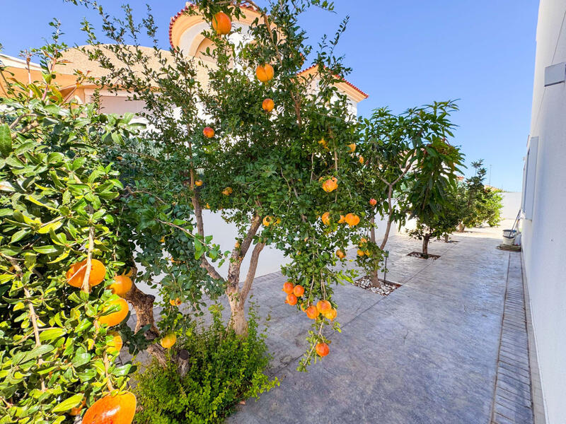 6 chambre Villa à vendre