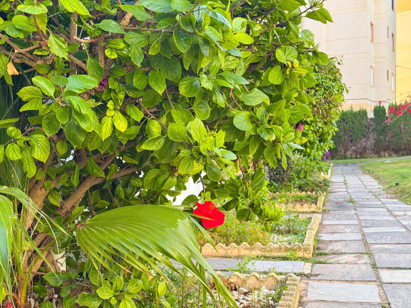 1 soverom Leilighet til salgs