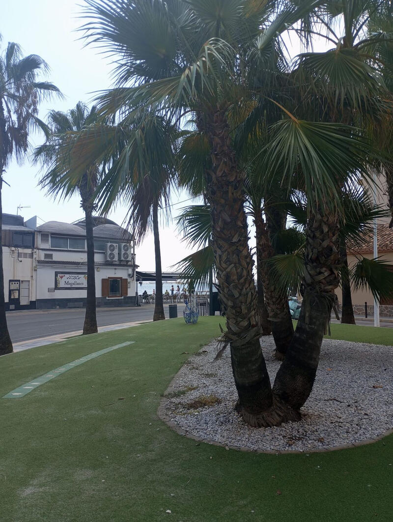 3 soveværelse Lejlighed til salg