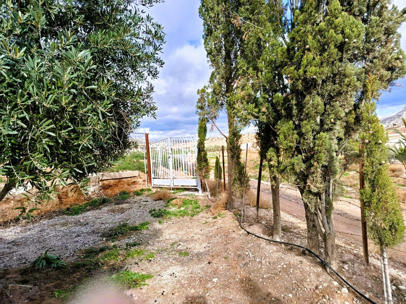 Casa de Campo en venta en Novelda, Alicante