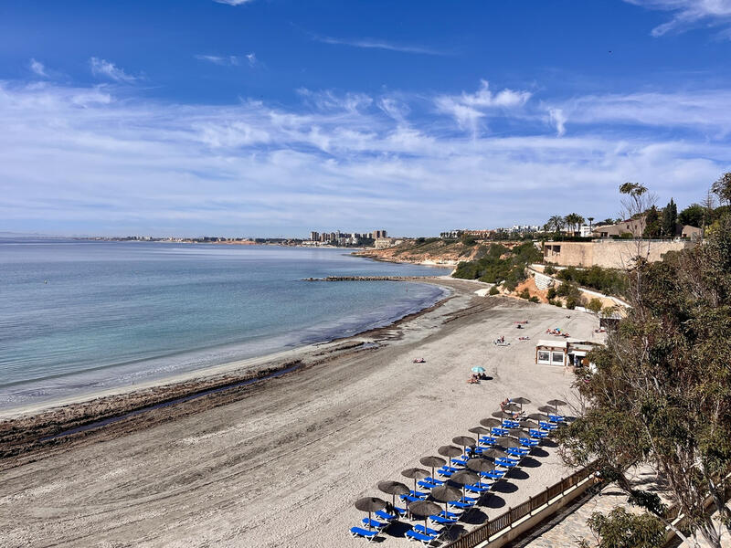 6 Cuarto Villa en venta