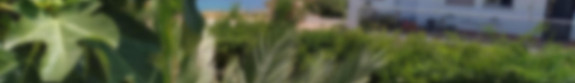 11 soveværelse Villa til salg