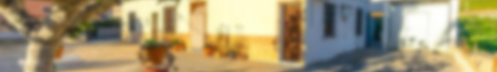 4 soveværelse Landsted til salg