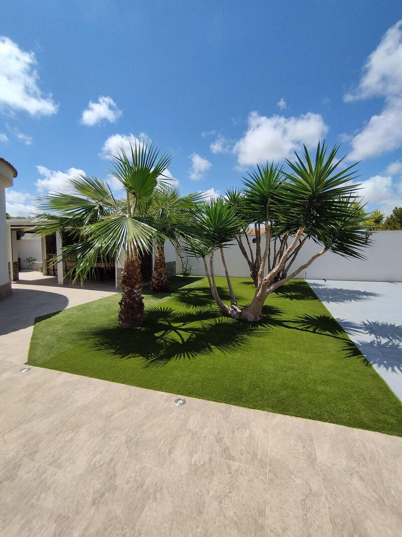 5 chambre Villa à vendre