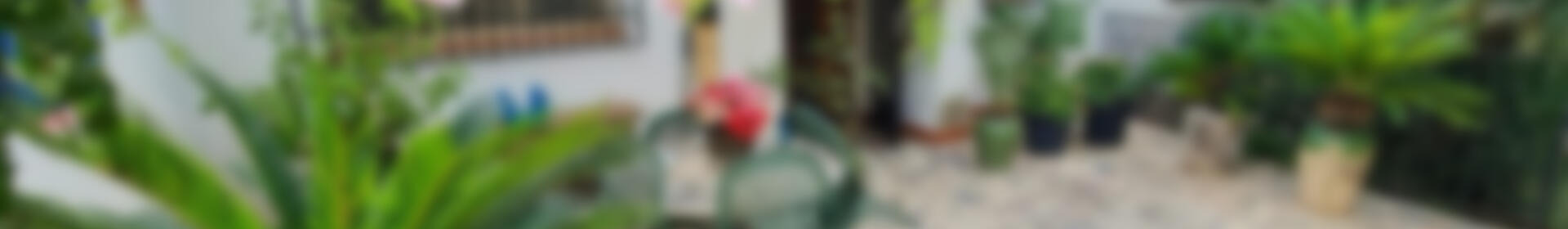 5 спальная комната вилла продается