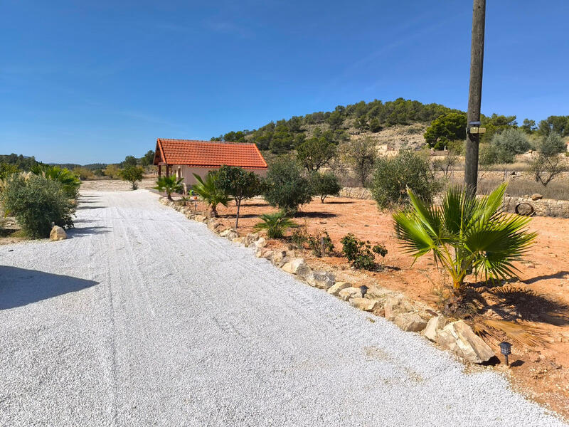 Villa à vendre dans Jumilla, Murcia