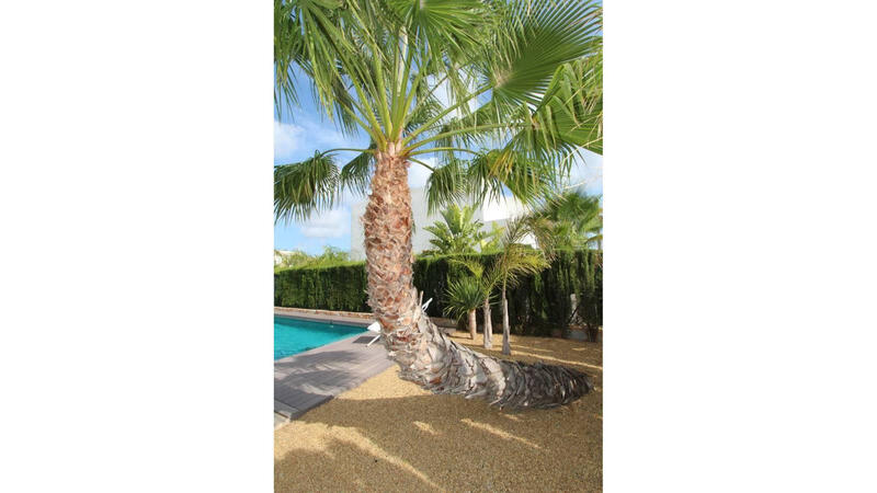 3 спальная комната вилла продается