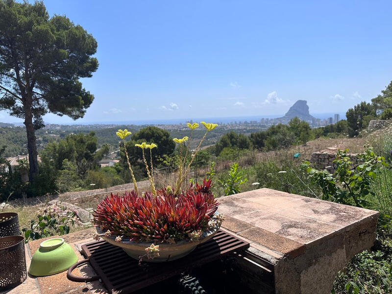 3 Cuarto Casa de Campo en venta