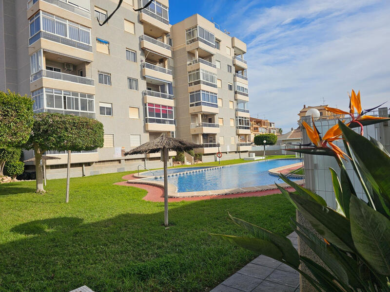 Appartement zu verkaufen in Torrevieja, Alicante