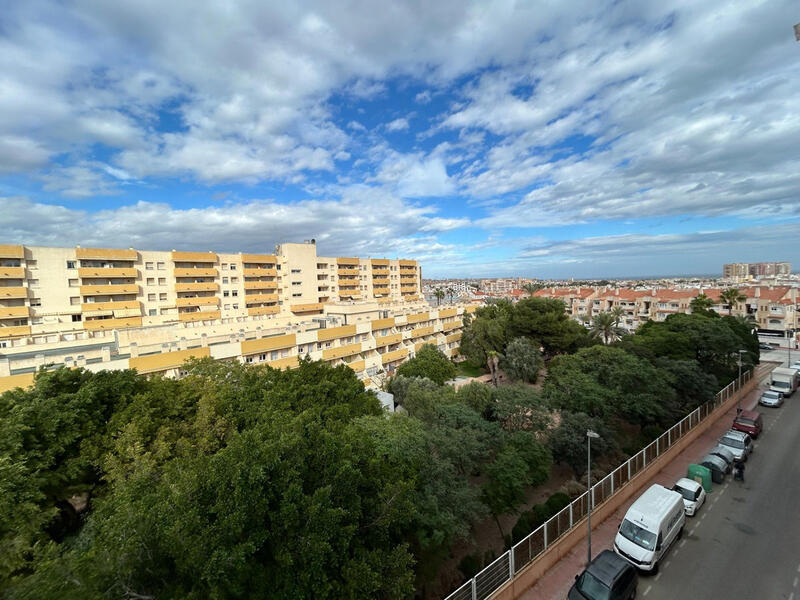 квартира продается в Torrevieja, Alicante