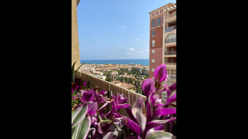Appartement zu verkaufen in Torrevieja, Alicante