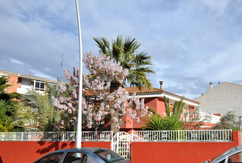 Villa for sale in Sax, Alicante