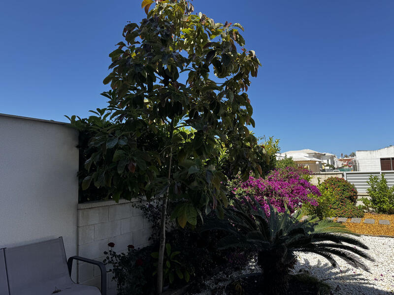 3 Cuarto Apartamento en venta