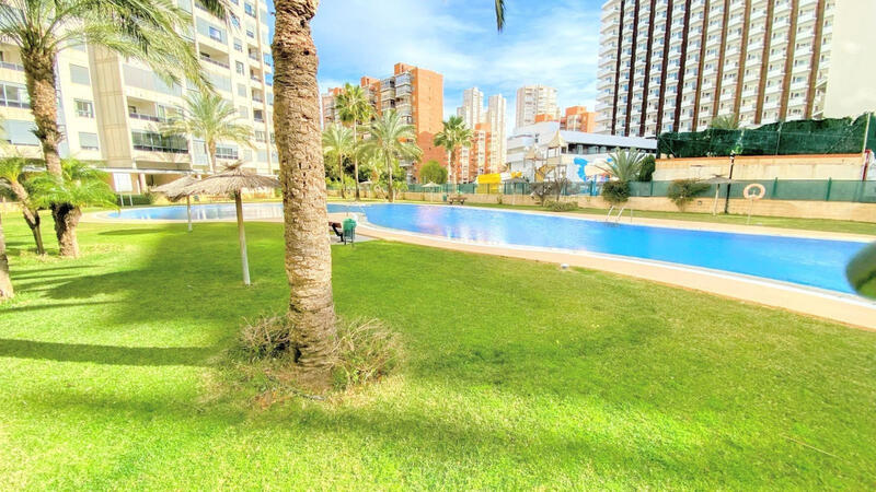 2 Cuarto Apartamento en venta