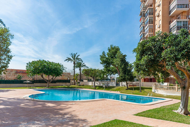 3 chambre Appartement à vendre