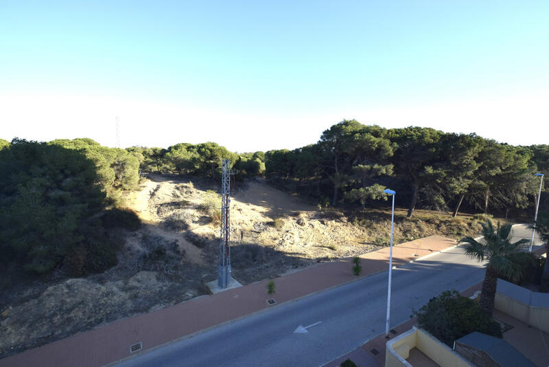3 Cuarto Apartamento en venta