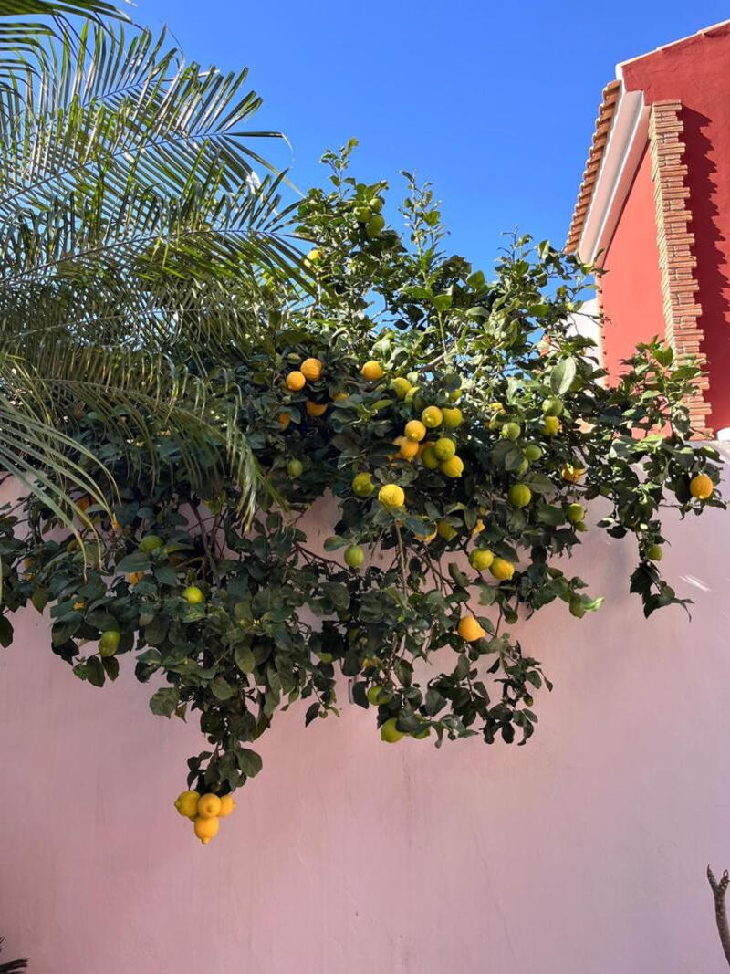 4 slaapkamer Villa Te koop
