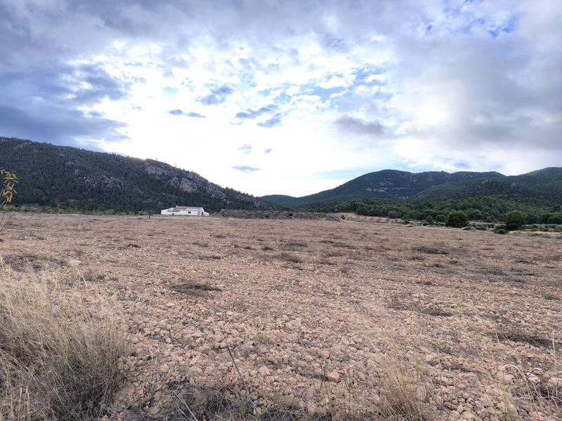 Lantställe till salu i Yecla, Murcia