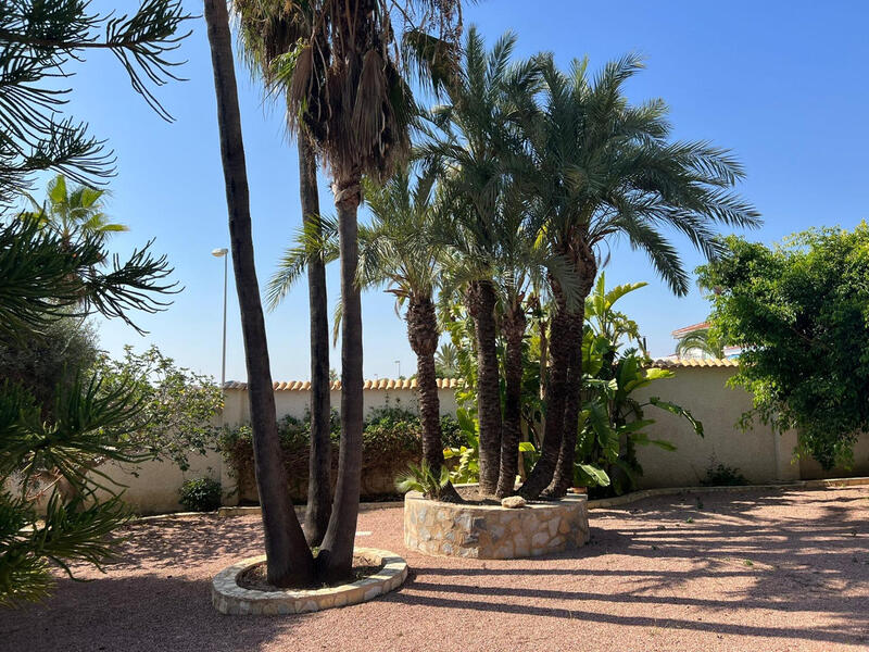 3 chambre Villa à vendre