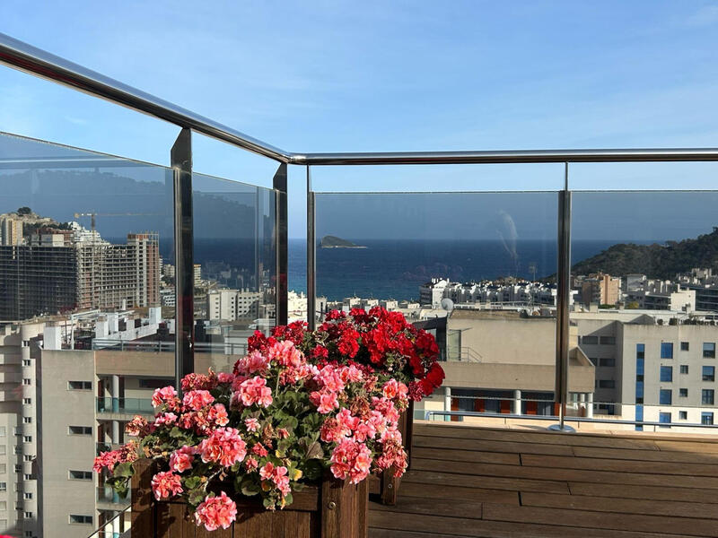 3 chambre Appartement à vendre
