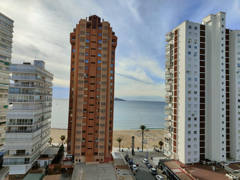 3 chambre Appartement à vendre