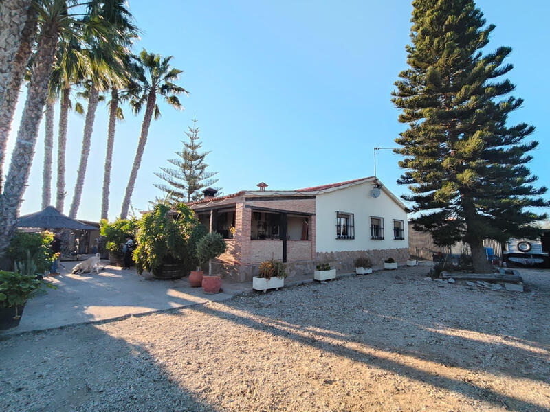 Villa à vendre dans Elx/Elche, Alicante