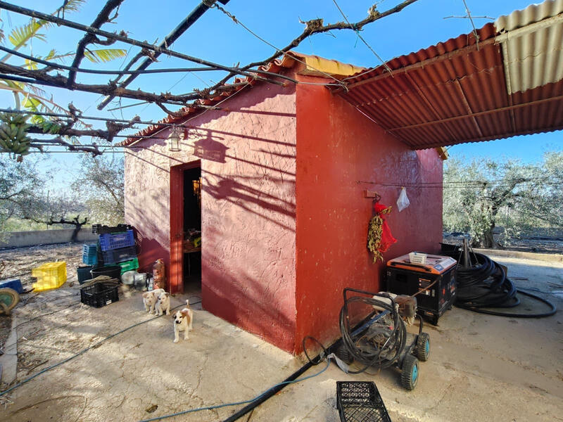 4 Cuarto Villa en venta