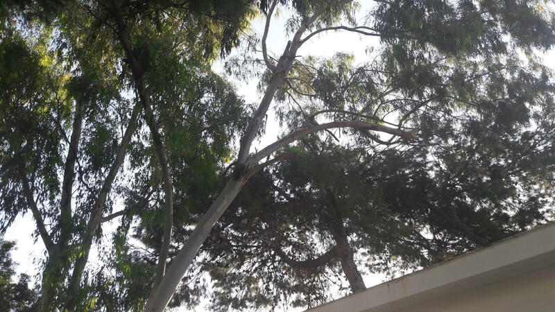 2 Cuarto Villa en venta