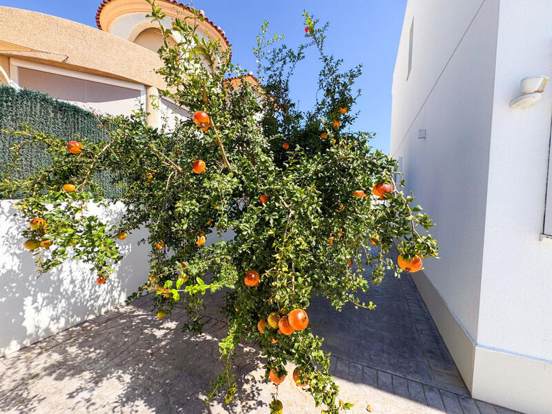 6 chambre Villa à vendre