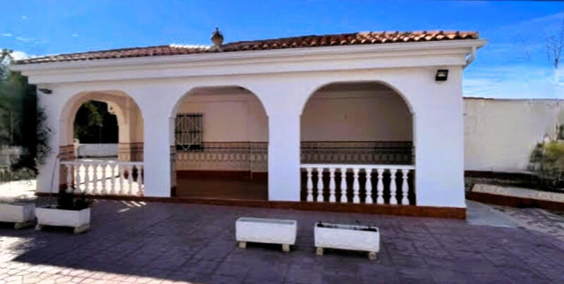 Villa à vendre dans Elx/Elche, Alicante