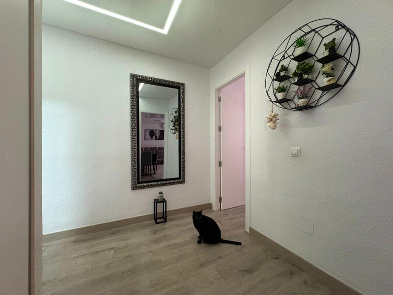 4 chambre Appartement à vendre dans Torrevieja, Alicante