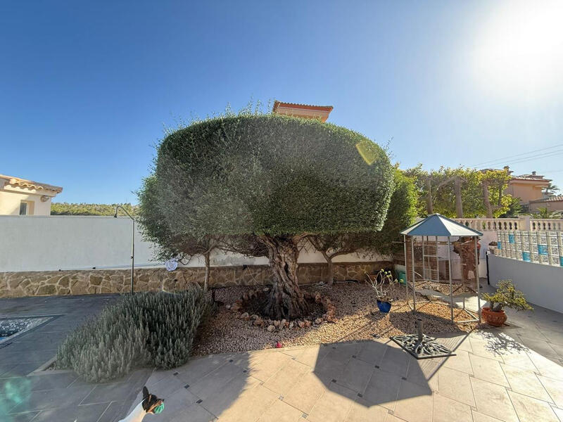 3 bedroom Villa for sale