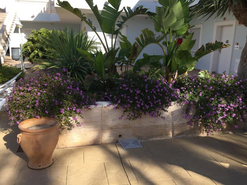 2 chambre Appartement à vendre dans Benissa, Alicante
