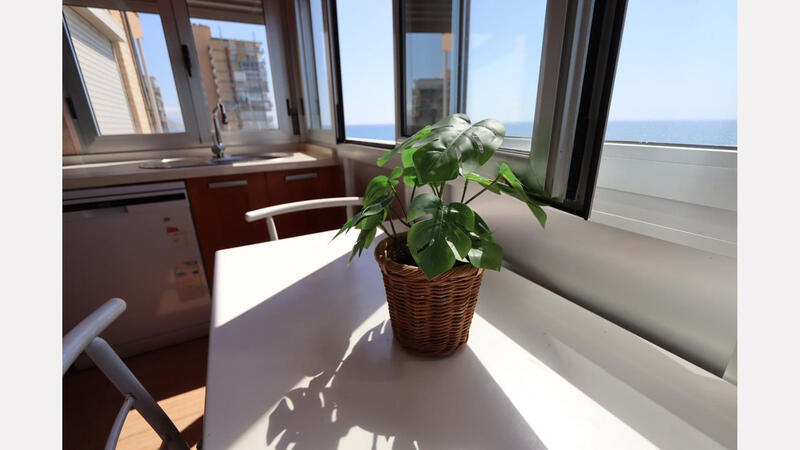3 chambre Appartement à vendre