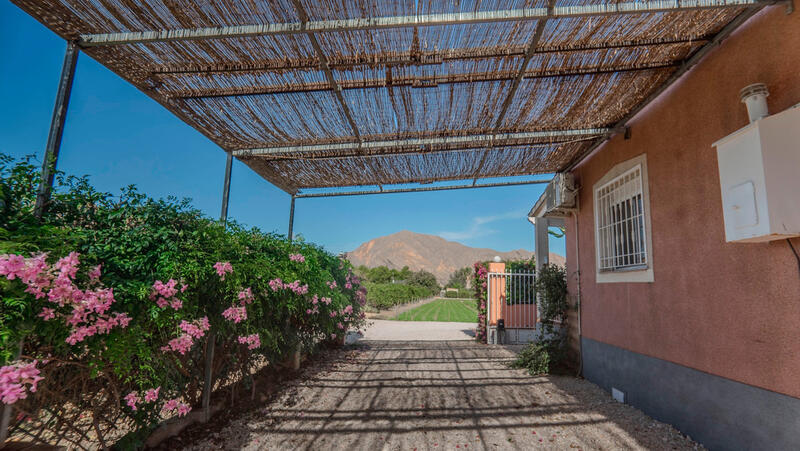 3 soverom Villa til salgs i San Bartolome, Alicante